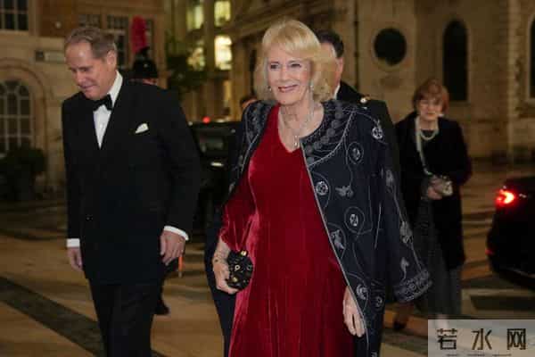 卡米拉王后，神秘的蛇形项链，暗示了她的祖先与国王的恋情？