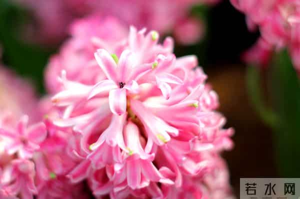 事实上，一个不喜欢你的女人，才会如此对待你