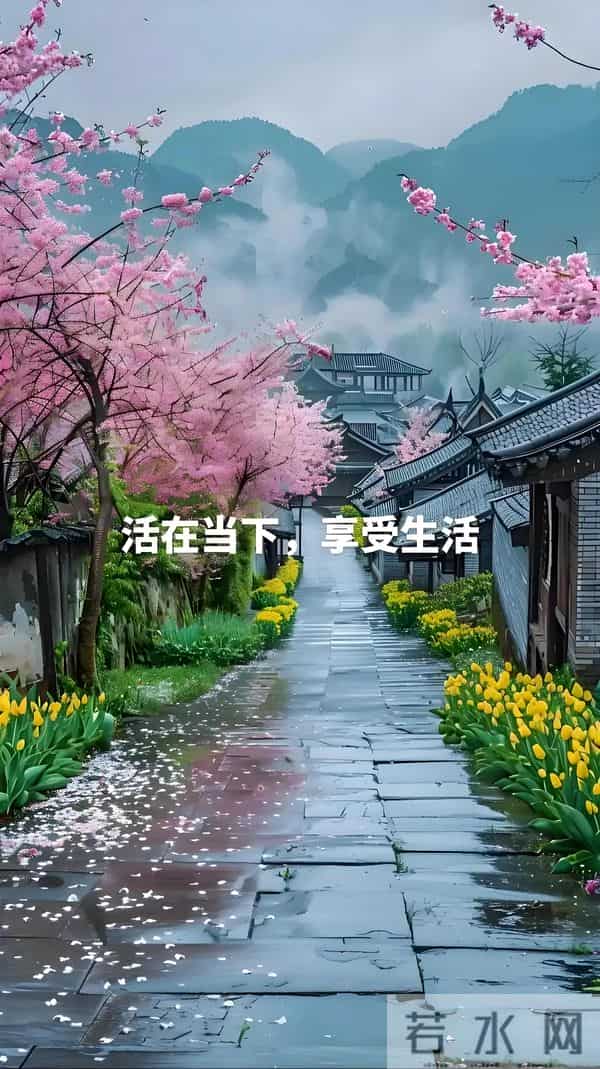 如何在喧嚣中活出自在呢？