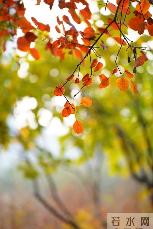 十一月结束文案，这样发超赞