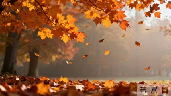 我为什么执着于你？