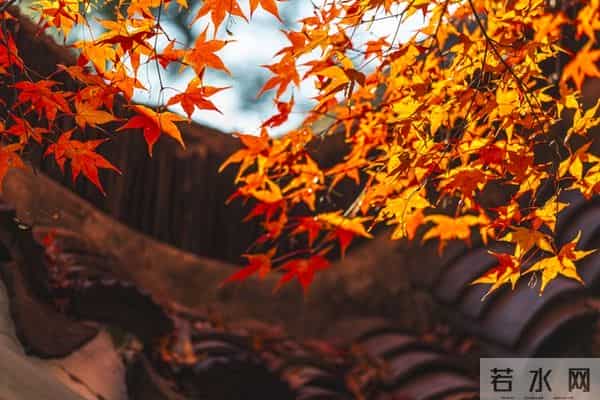 奉劝大家，跟任何人打交道，千万不要过度付出！