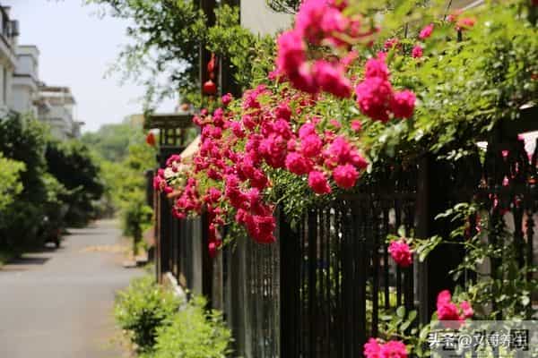 父母老了，这五件事必须对儿女隐瞒，真正懂得才是人生大智慧！