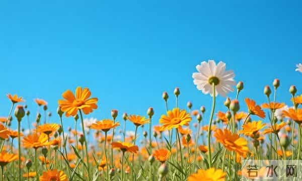 男人最放不下的，是那个冷静转身的情人。