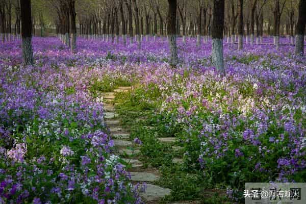 发现了没有，很多丧偶的女人，在外面从来不说！自己是已经丧偶的