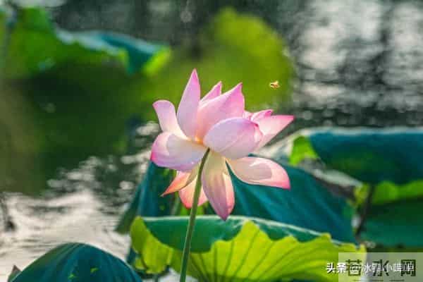 撩中年女人，比情话更管用的，是“折腾”