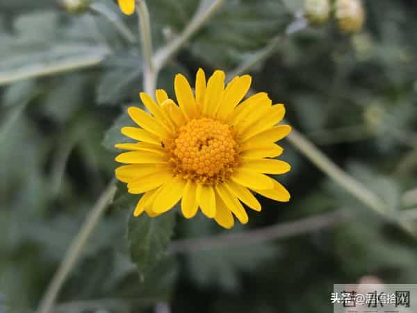 两性关系，65女人大实话，男人过了70岁，只剩下一个用处