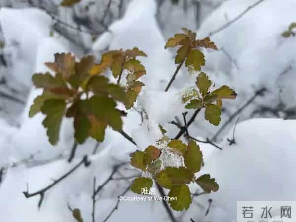 别再忍了！敢于冲突的人，反而更被尊重