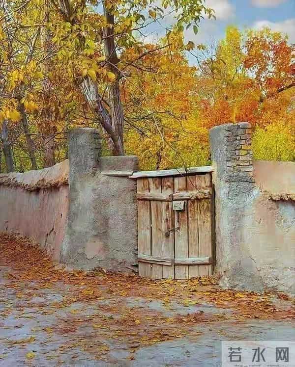 大多数老人的离世都不是突然的