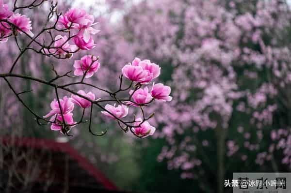 女人爱不爱你，看她会不会主动要钱，真的很准！