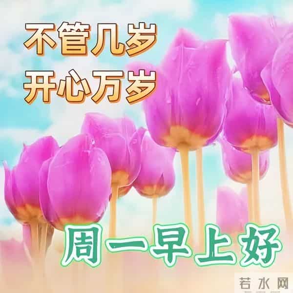 最新早安开心快乐短句子，经典正能量早上好句子，吉祥如意