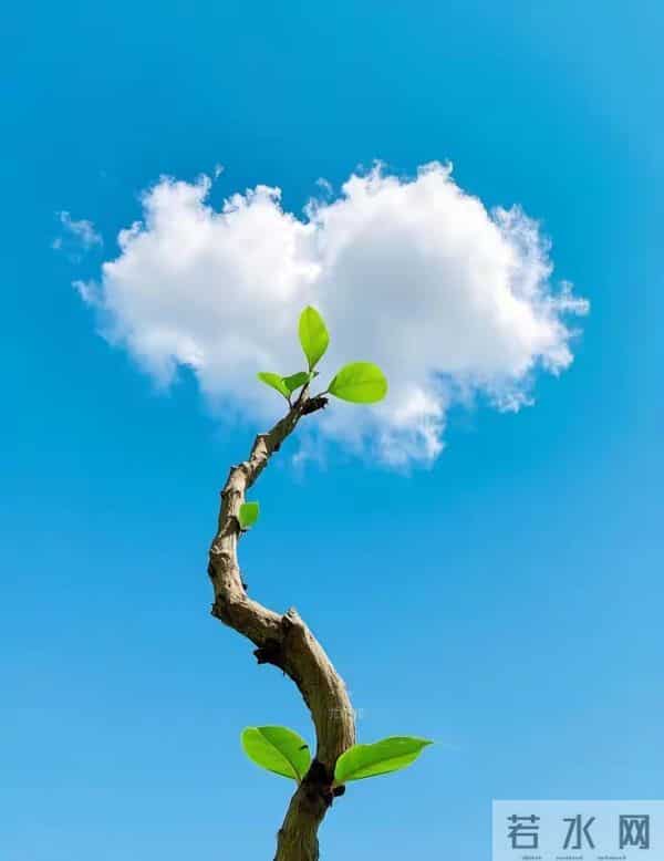 一个扎心真相：不是痛苦选择了你，而是你选择了痛苦