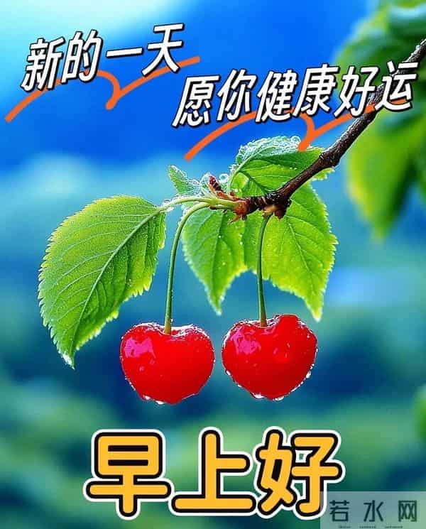 11月30日周日早安 早上好图片最新今天 温馨淡雅的周日早安美图