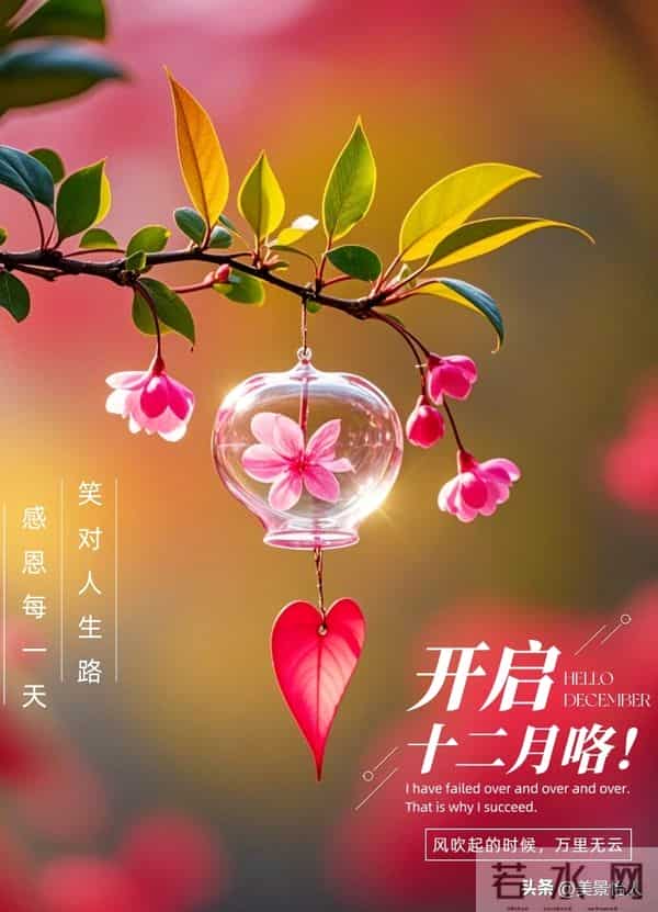 十二月你好，愿冬有暖阳，心有欢喜～
