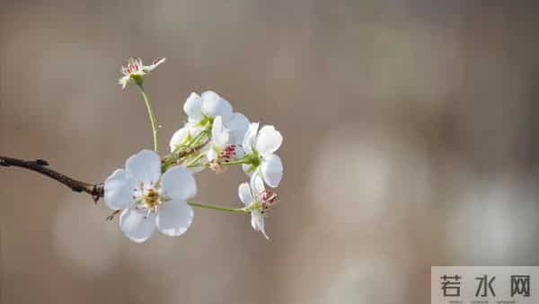 我哥借30万给侄子买房，我让他打借条签合约，母亲说我不孝没亲情