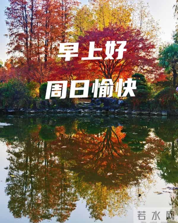 早上好 十一月的最后一天 早上好温馨问候语 难忘的十一月三十日