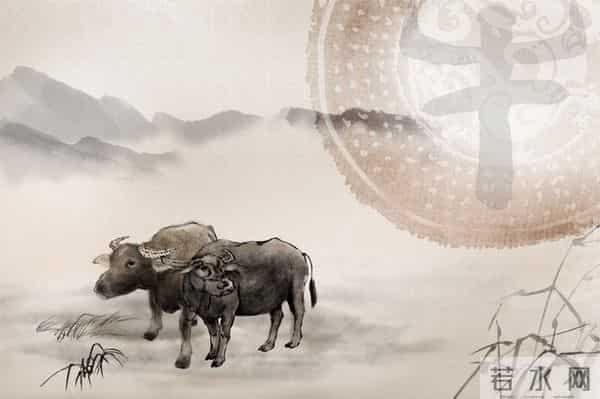 85年属牛的2026年厚积薄发？真相：40岁后才是真逆袭！