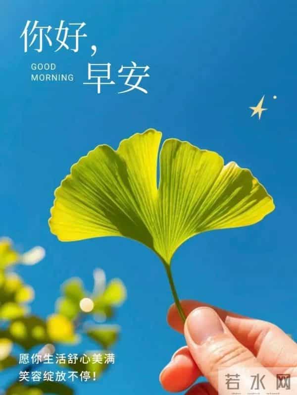 早安快乐！不问几时许，忙里寻闲适，烦忧全赶跑，顺遂无纷扰！