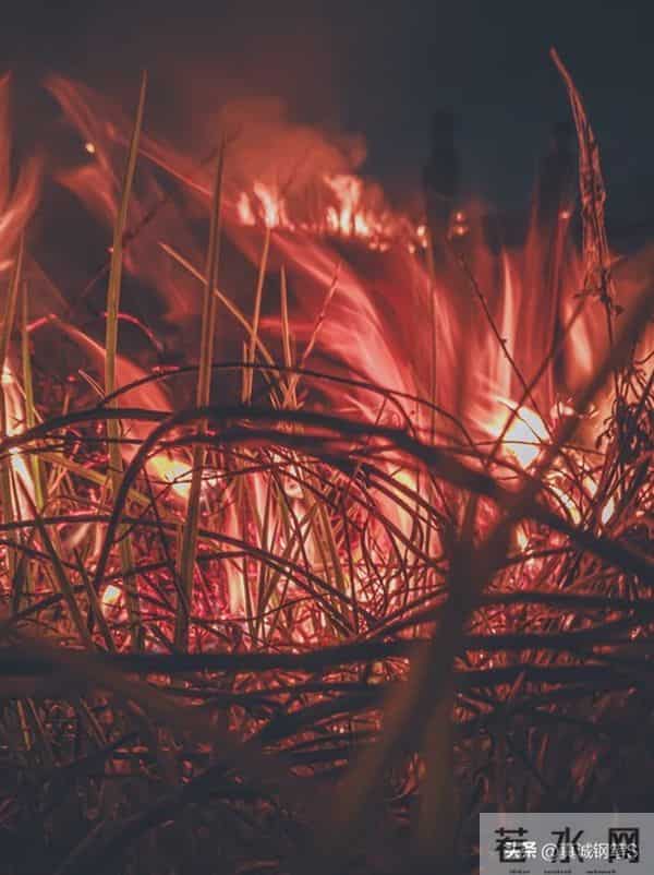 2026财富新赛道，谁将笑到最后？