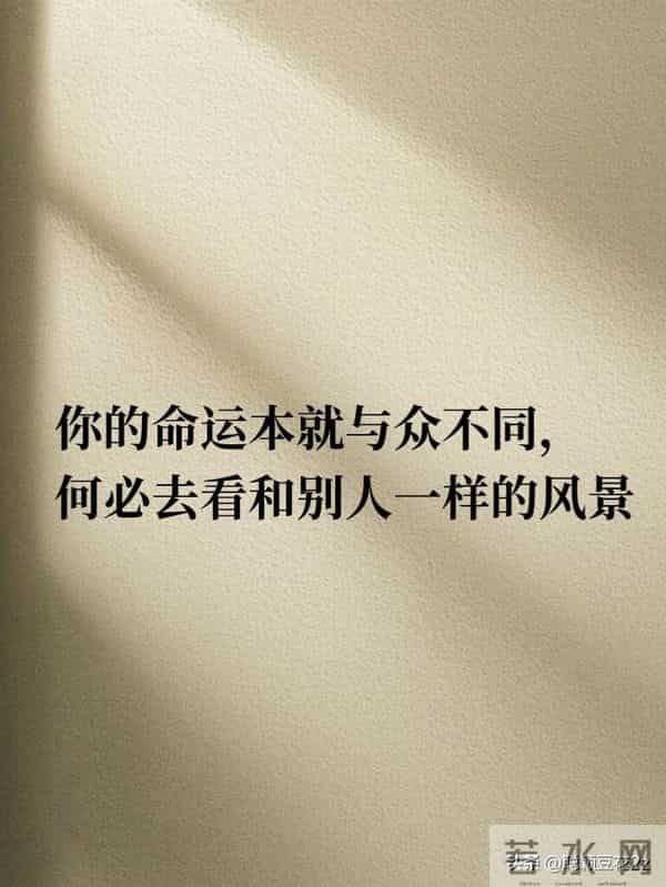 字少，却字字戳心写到心坎里的文字 句子很短却字字入心间
