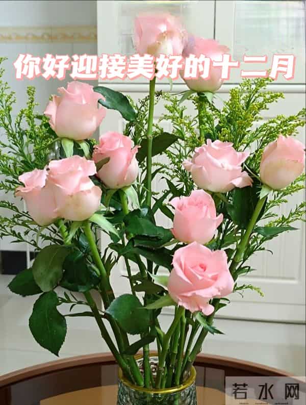 2025年十二月你好 十二月你好祝福语 十二月你好精美图片 早安祝福语