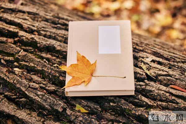 一个女人，越喜欢做这3件事，越说明她见过世面、不简单