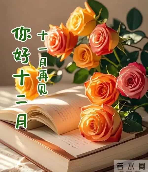 「2025.12.1」今日18张早安祝福图片问候，温馨早上好祝福语