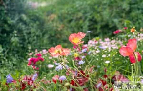 两性关系：男人过60岁，与女人相处牢记这3点，让生活甜如蜜