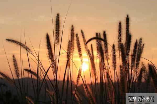 要知道，人过了80岁，活着也没有几个人在意你，看了此文你就懂