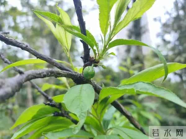 两性关系：为什么女人过了70岁还要找男人？70岁女人的大实话