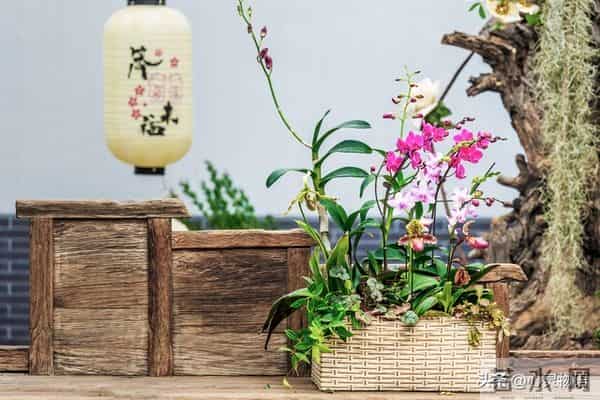 男人一碰女人这里，她就立马投降的两处“死穴”