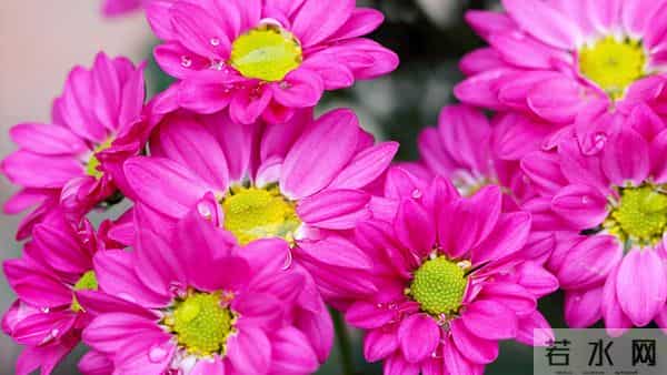 12月1日至12月4日星期一，白羊座，家和事事兴！