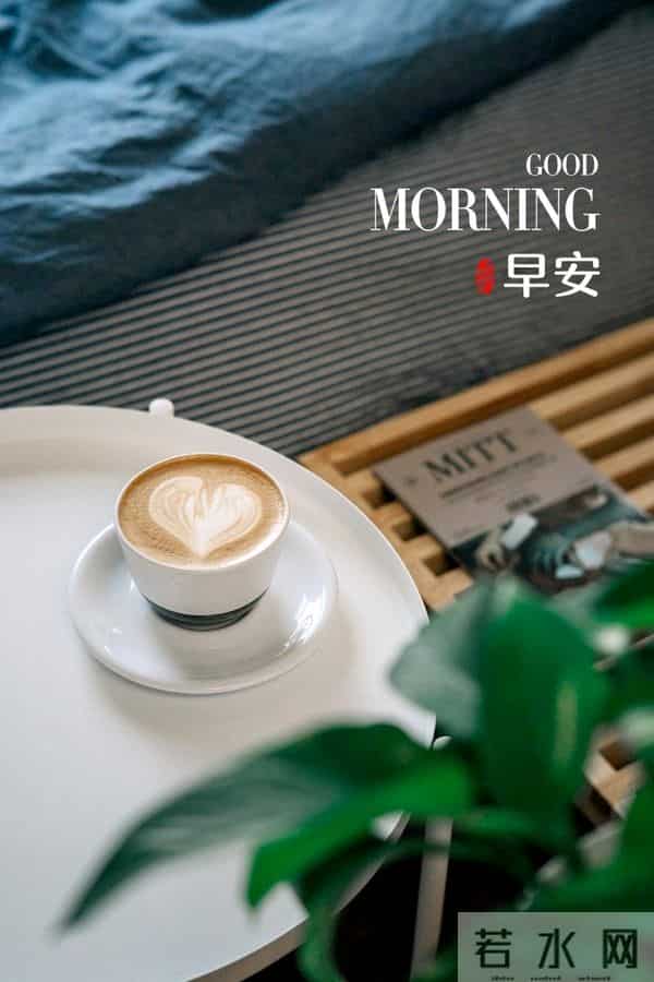 早安。清晨的祝福，是新一天最温馨的开始。
