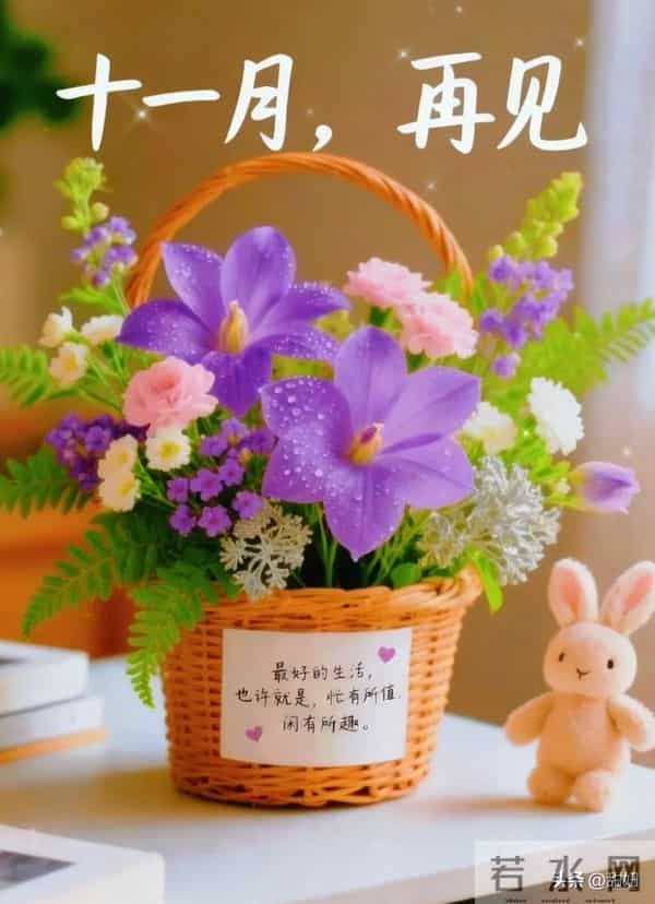 带着暖意迎接十二月的晨光,早安,愿日子清欢,万事皆安~