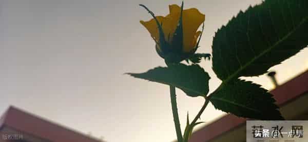 我回一趟老家知道，攒有100万的家庭里，大多有两种人，三种智慧