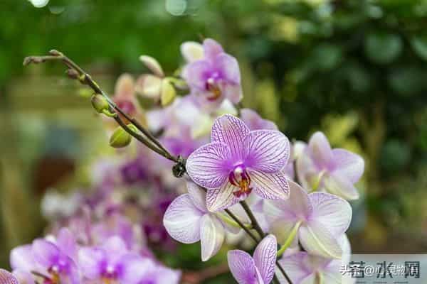 男人一碰女人这里，她就立马投降的两处“死穴”