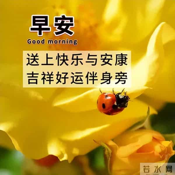 最新早安开心快乐短句子，经典正能量早上好句子，吉祥如意