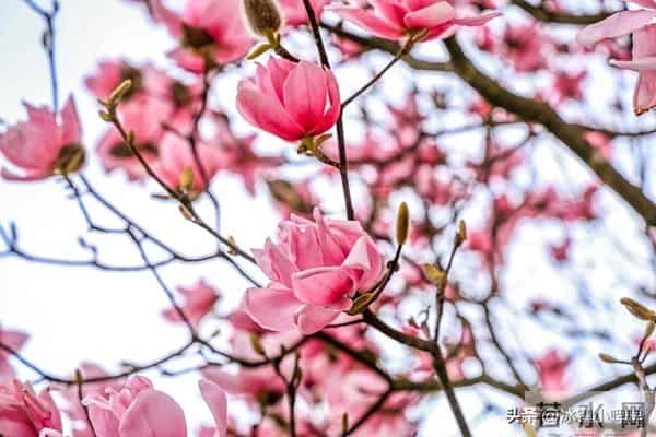 女人爱不爱你，看她会不会主动要钱，真的很准！