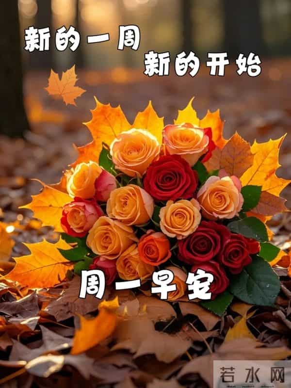 2025年12月1日周一早上好祝福语图片，最新温馨淡雅早安精美图片