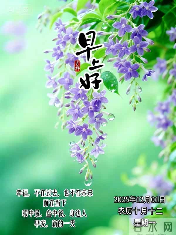 「冬日暖阳」12月1日早上好！初冬的早晨祝福问候语，早安图片