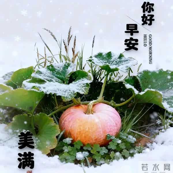 十二月第一天你好愿冬雪藏温柔，岁月赠安暖愿你梦之所及洒满欢笑