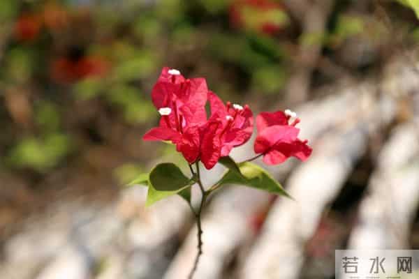 人老了最大的悲哀不是病，不是死，而是家里只剩一个人孤独的活着