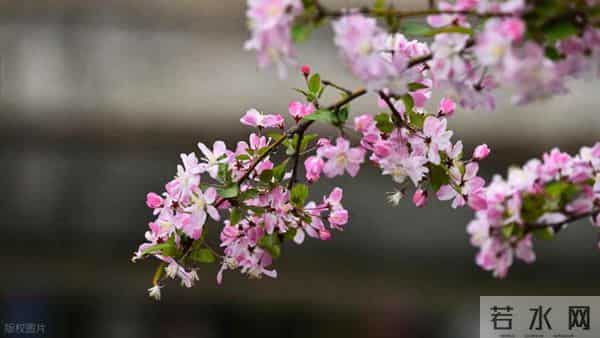 男人有7200退休金，跟搭伙女人AA养老，女人去打工男人却问谁做饭