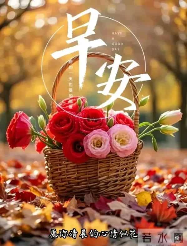 「11月30日」15张冬日早安图片：冬日有梦，幸福安宁