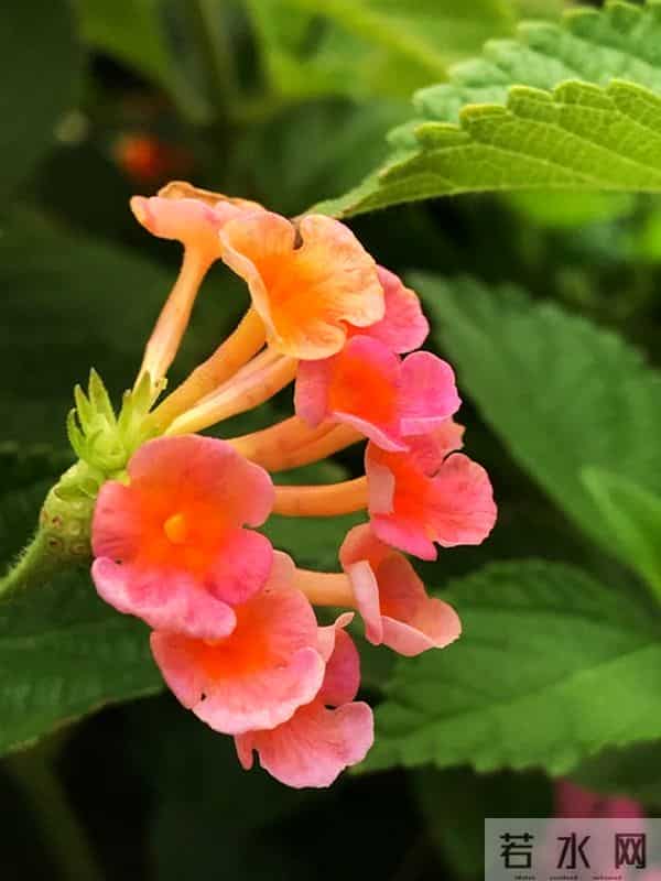 人老了最大的悲哀不是病，不是死，而是家里只剩一个人孤独的活着