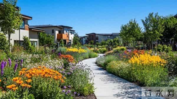 父母老了，这五件事必须对儿女隐瞒，真正懂得才是人生大智慧！