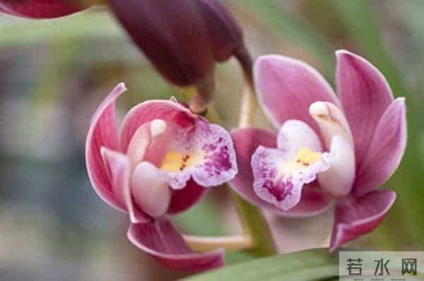 两性关系中，女人更在意什么