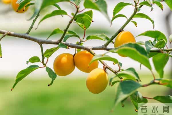 我工资15000全给母亲,老婆月薪8500却天天下馆子，我在家饿到发火