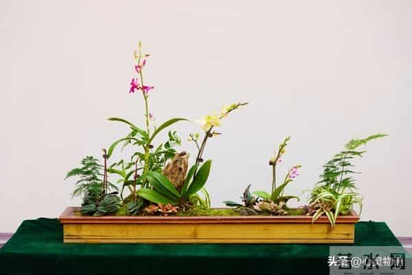 男人一碰女人这里，她就立马投降的两处“死穴”