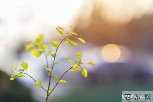 一个女人，越喜欢做这3件事，越说明她见过世面、不简单